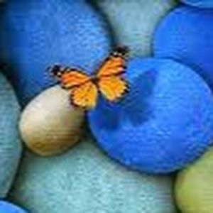 Meet your Posher, Lizet